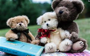 Teddy Bears